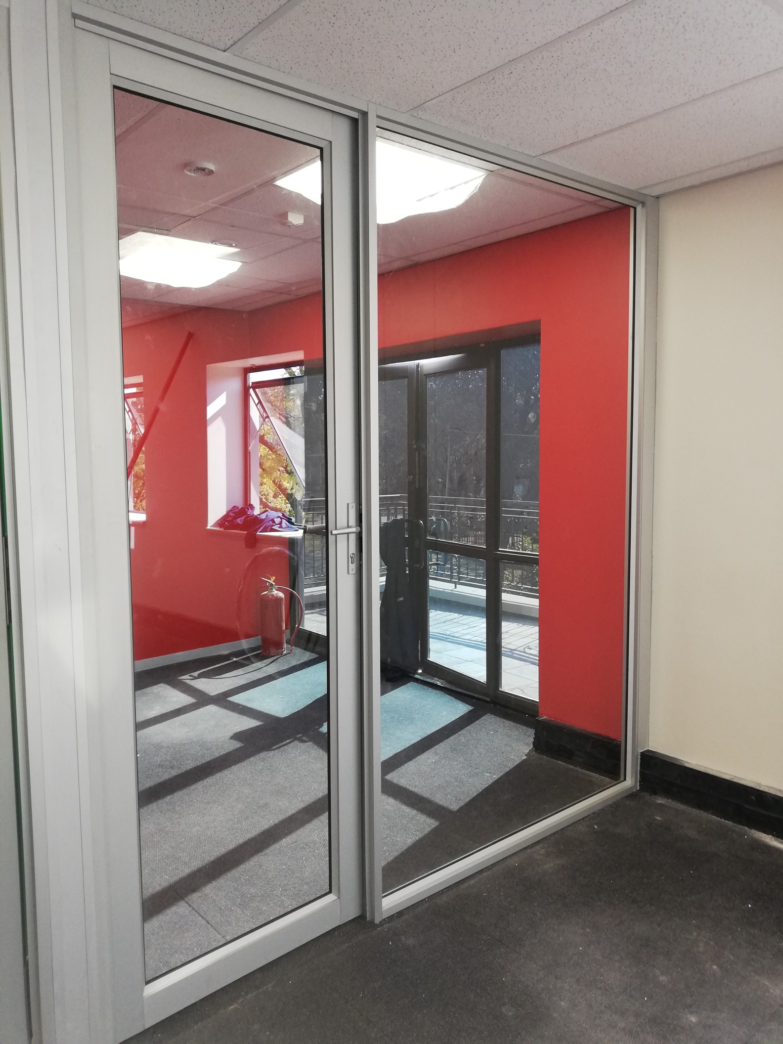 Opus Glass Aluminum Hinged Door